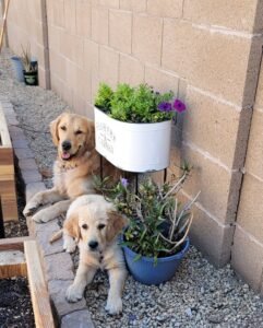 Girls in the Garden Girls in the Garden