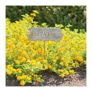 flowers-annuals-perennials-garden-stake