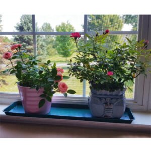 medium-windowsill-tray