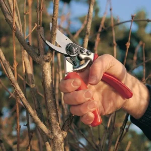 Gardener using a FELCO 7 rotating-handle pruner to cut a woody branch