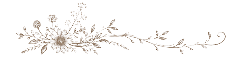 flower divider 01 trnsbck 800x300