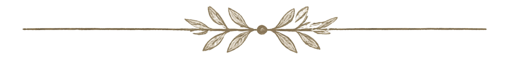 vine divider horizontal trans back