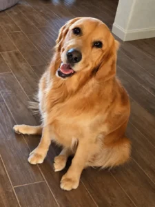sadie 01