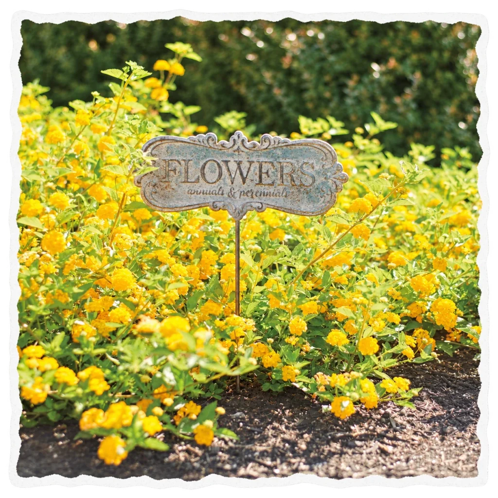 flowers garden sign torn paper