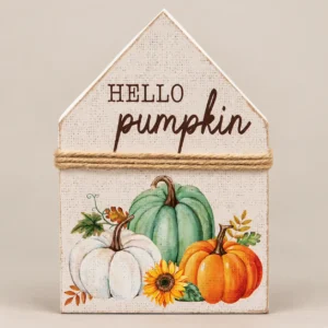 hello-pumpkin-chunky-house-sitter